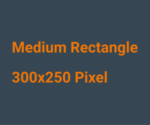 medium_rectangle_300x250pixel Content AD